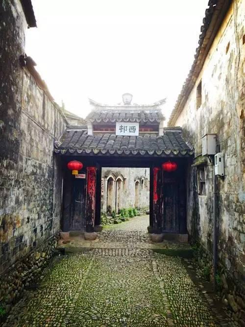 唐瑭金融女神揭秘:马拉松式金融理财的智慧与坚持
